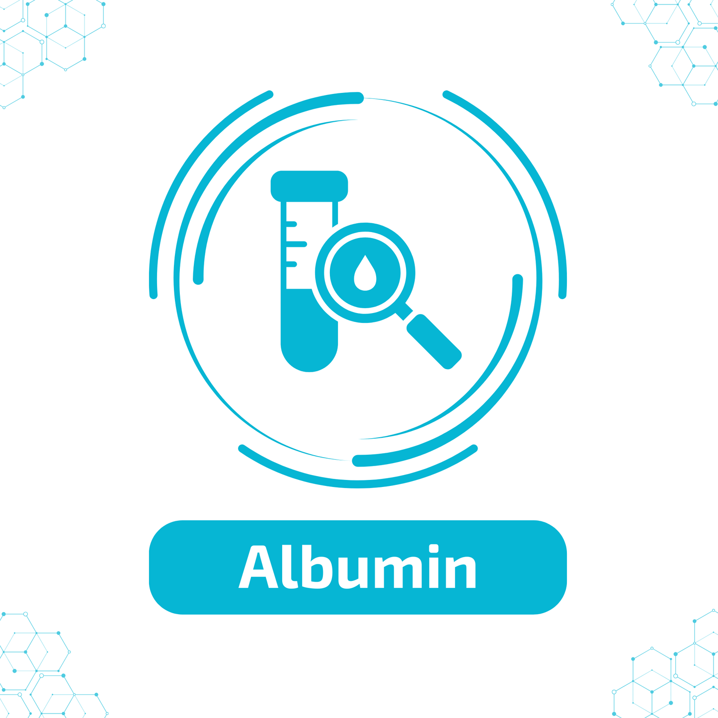 Albumin