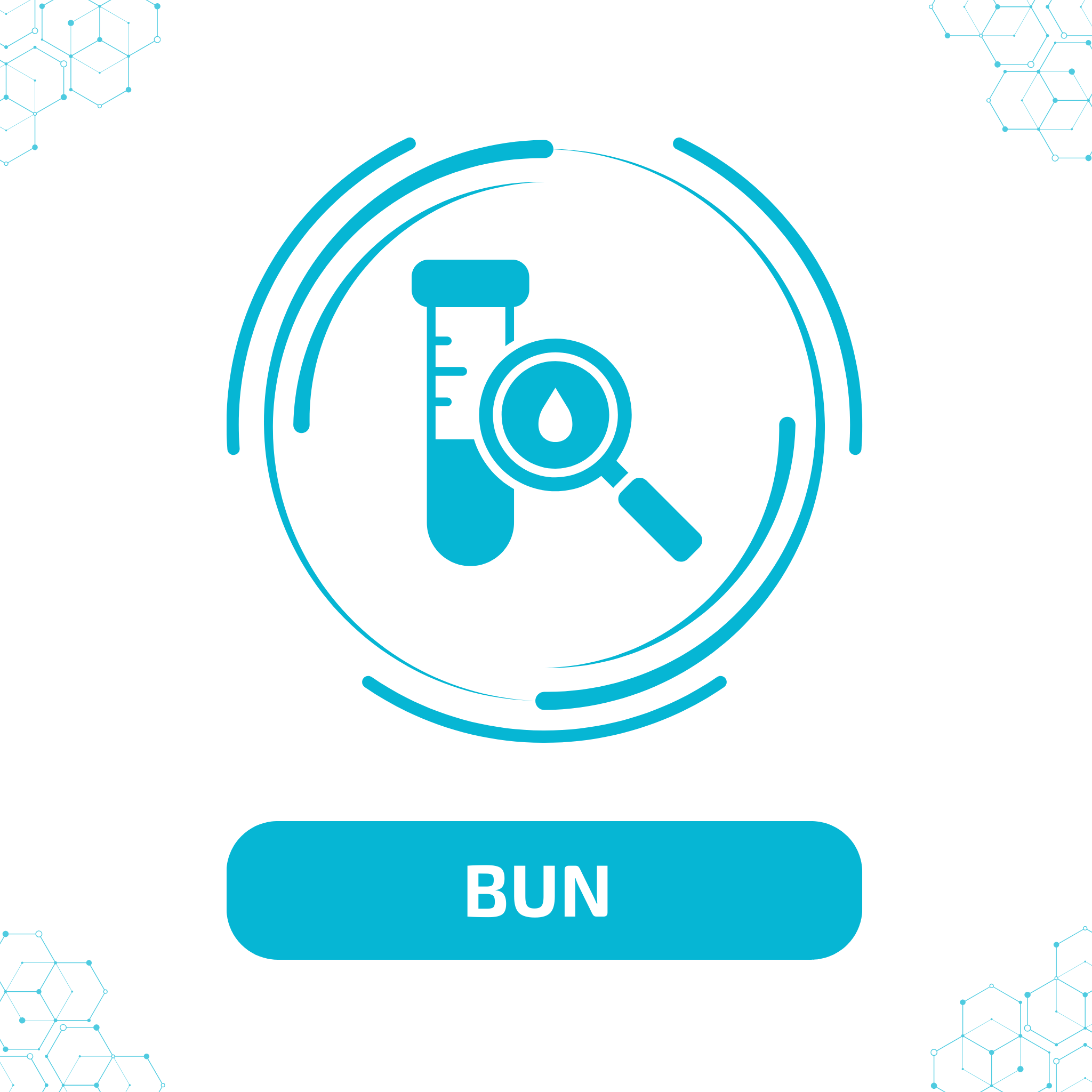 BUN 1st Optimal Bun 1st optimal