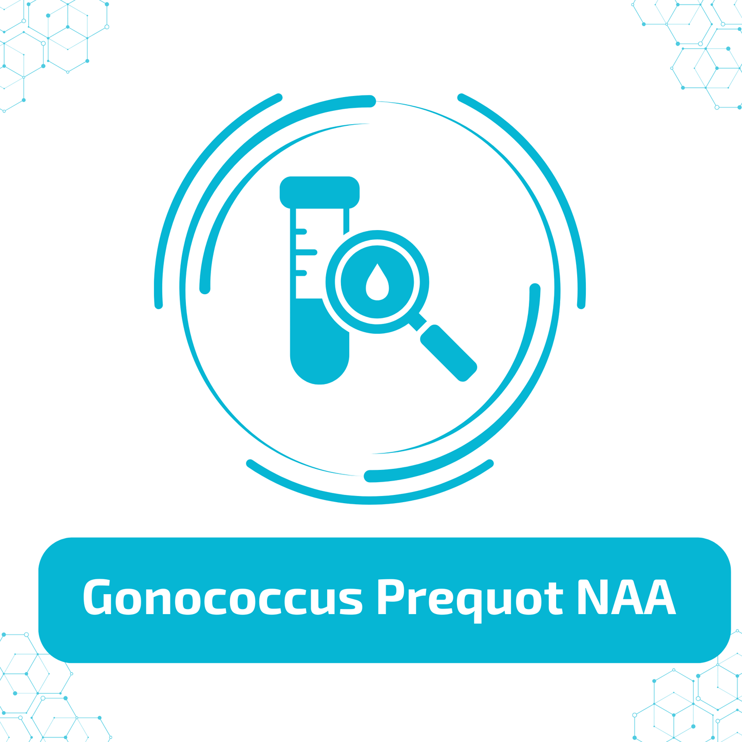 Gonococcus Prequot NAA