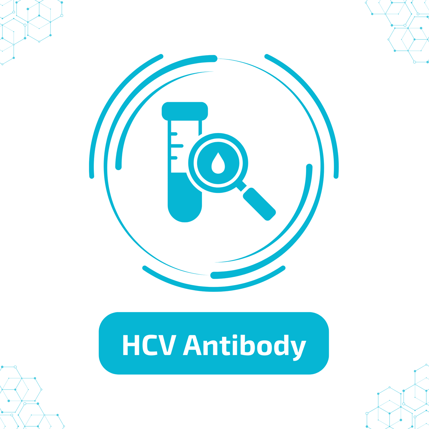 HCV Antibody