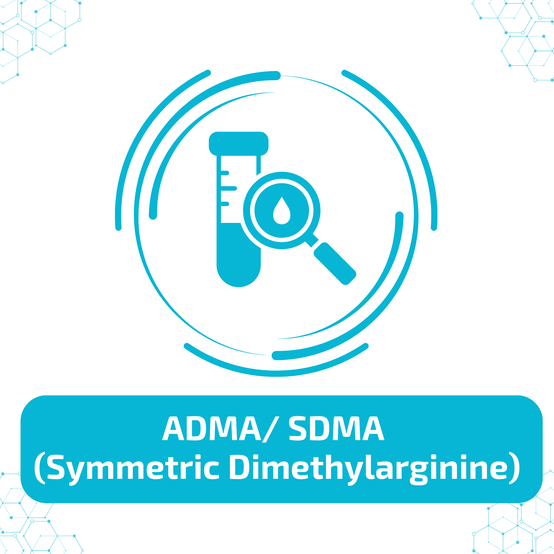 ADMA/ SDMA (Symmetric Dimethylarginine)