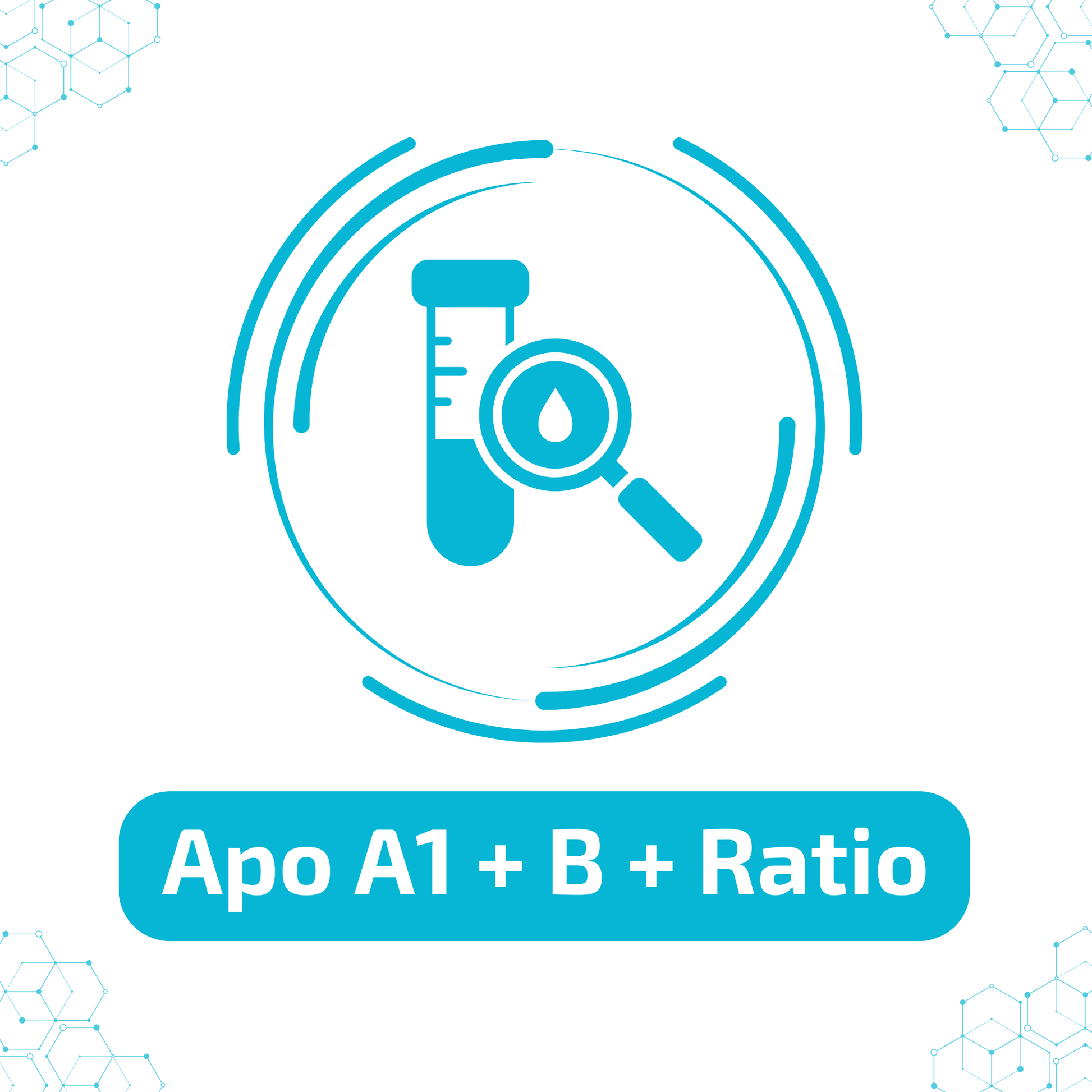 Apo A1 + B + Ratio