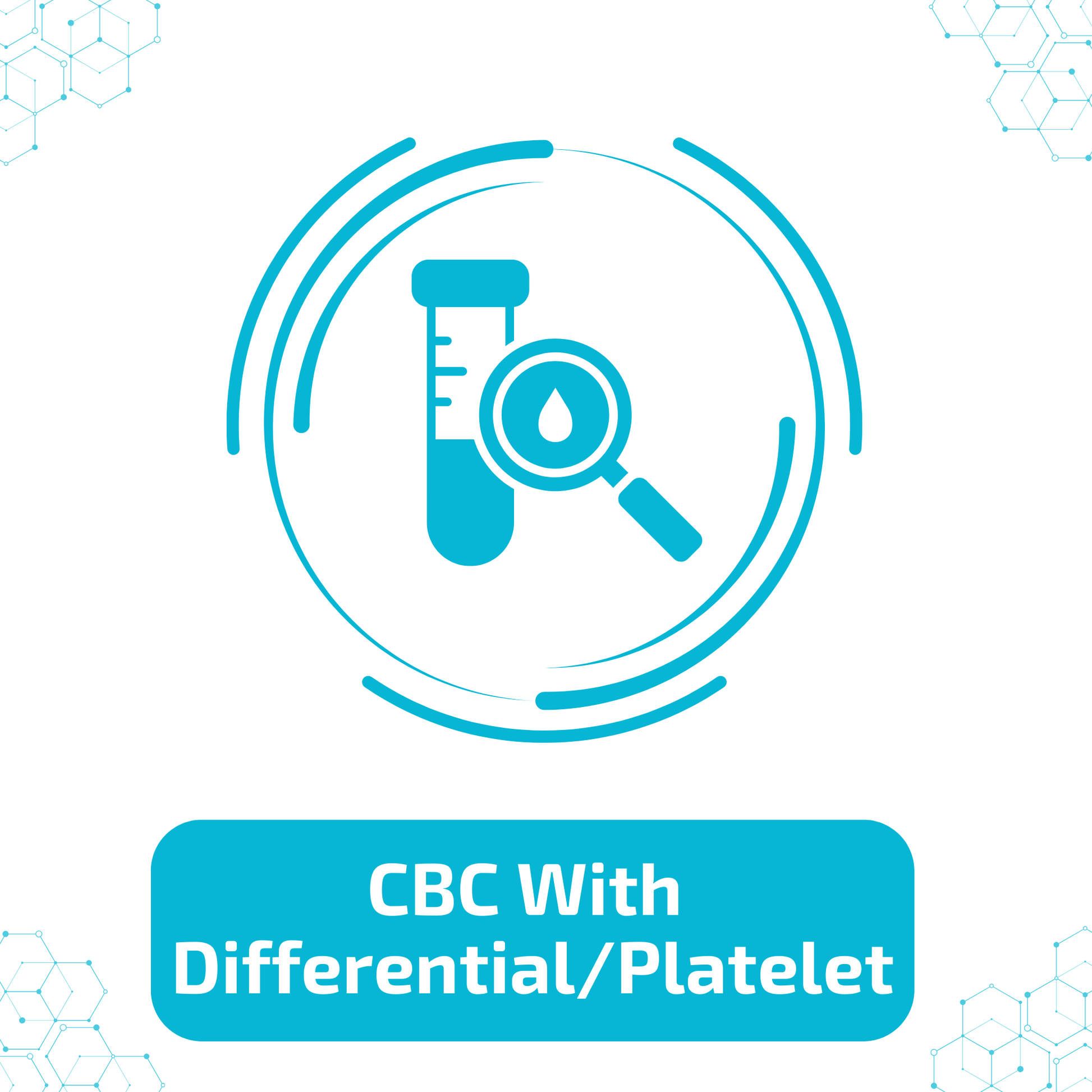 CBC With Differential/Platelet