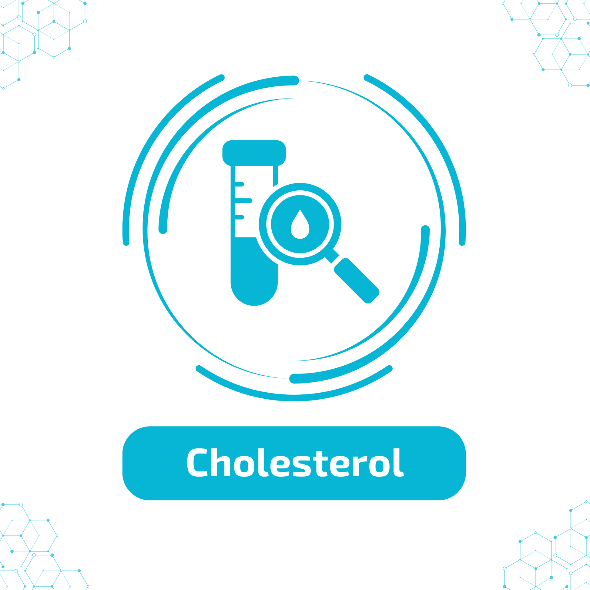 Cholesterol