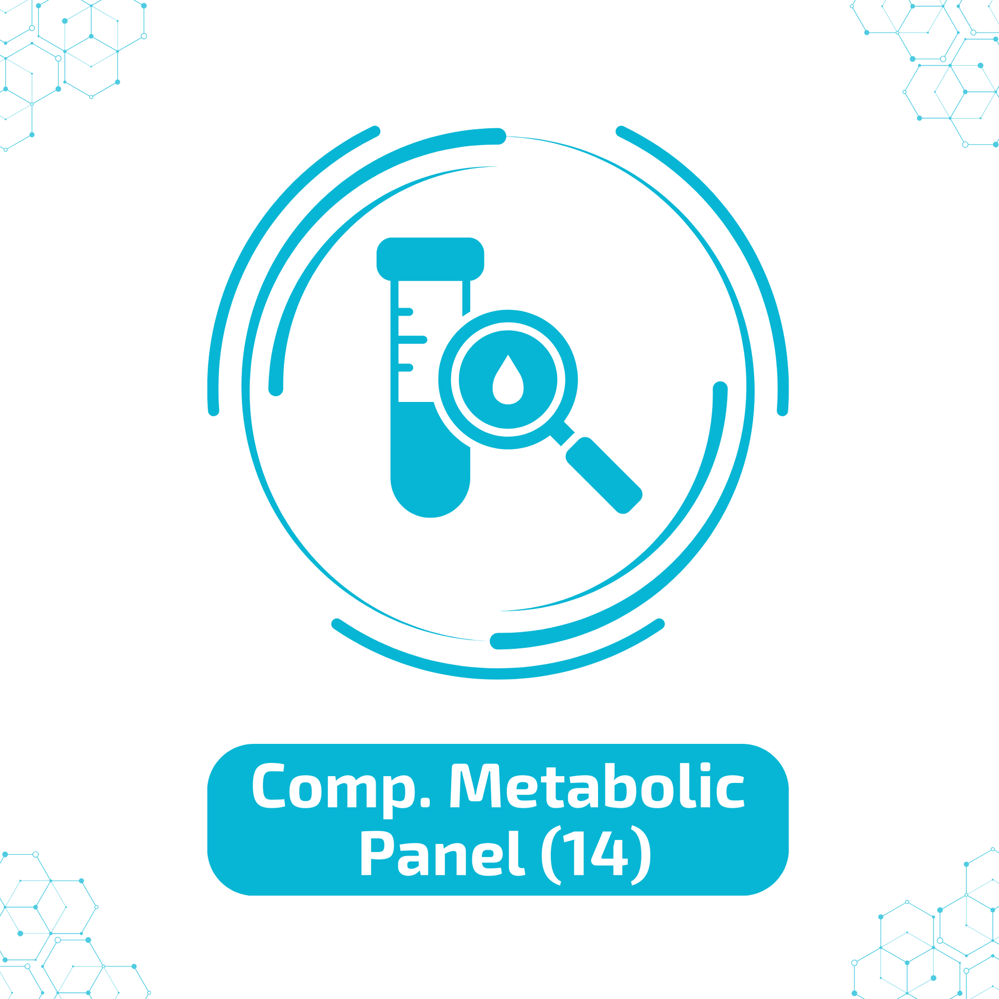 Comprehensive Metabolic Panel (14)