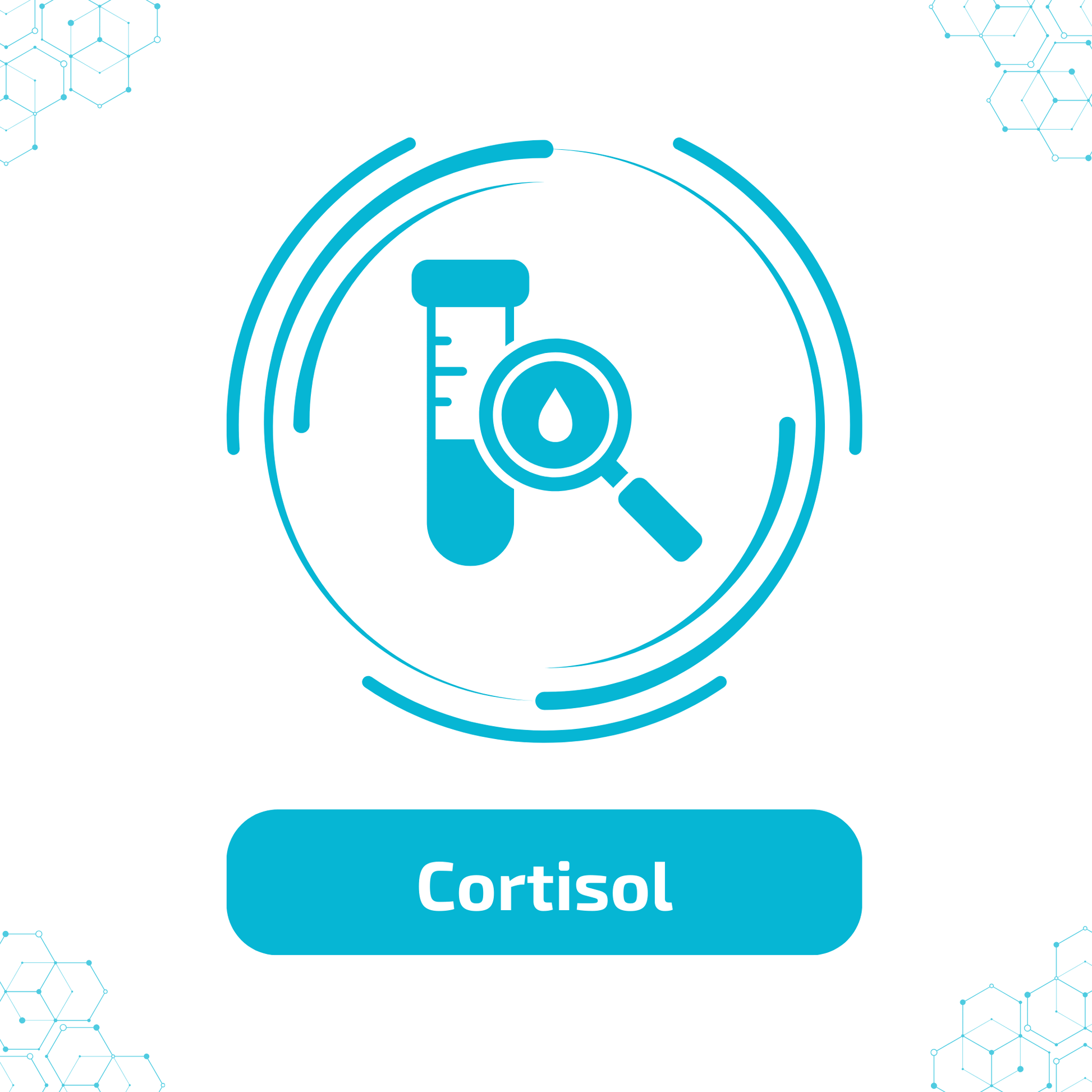 Cortisol