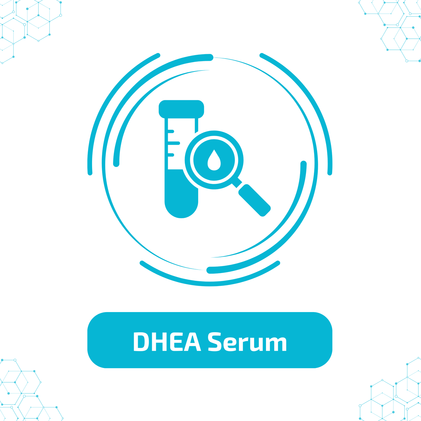 DHEA, Serum