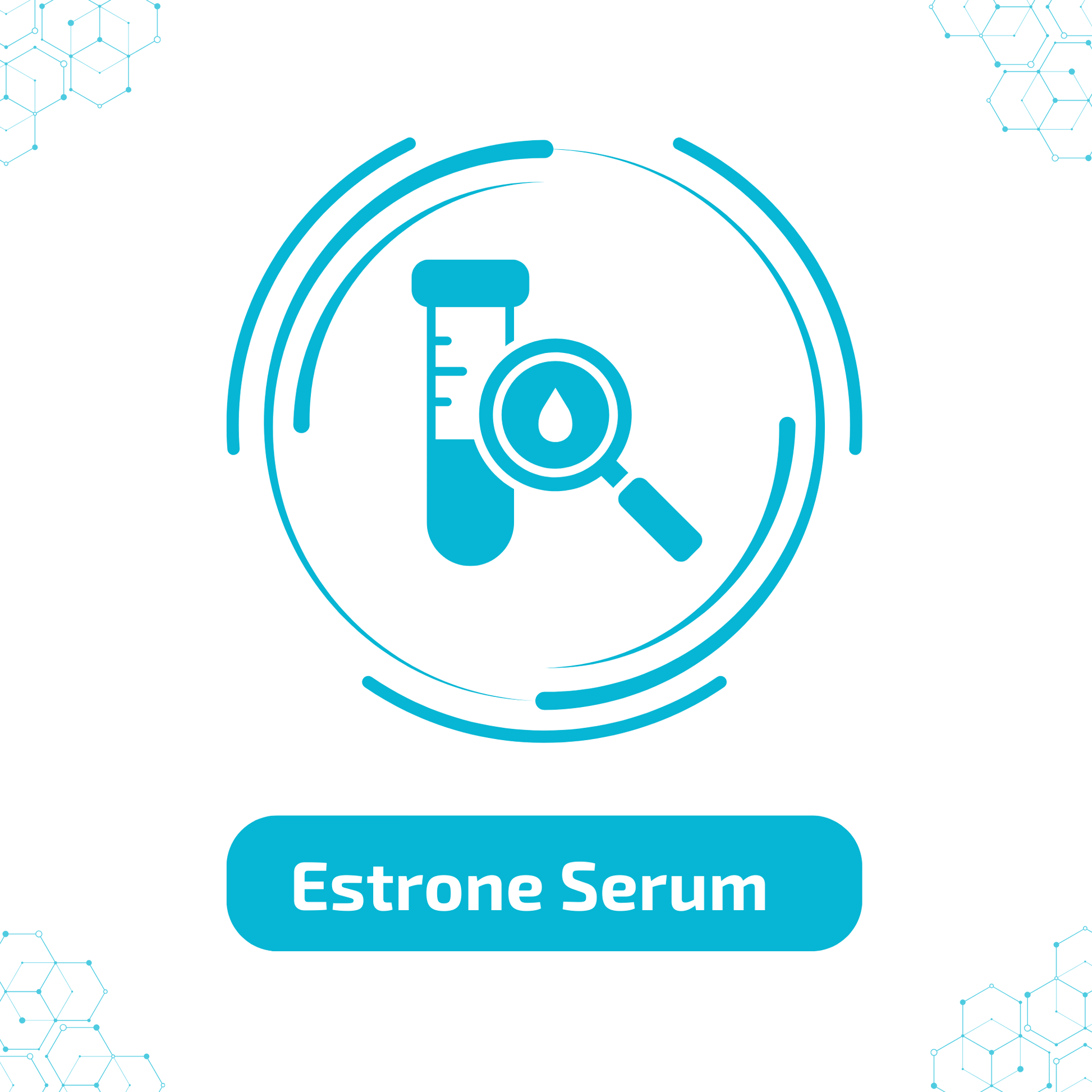 Estrone, Serum