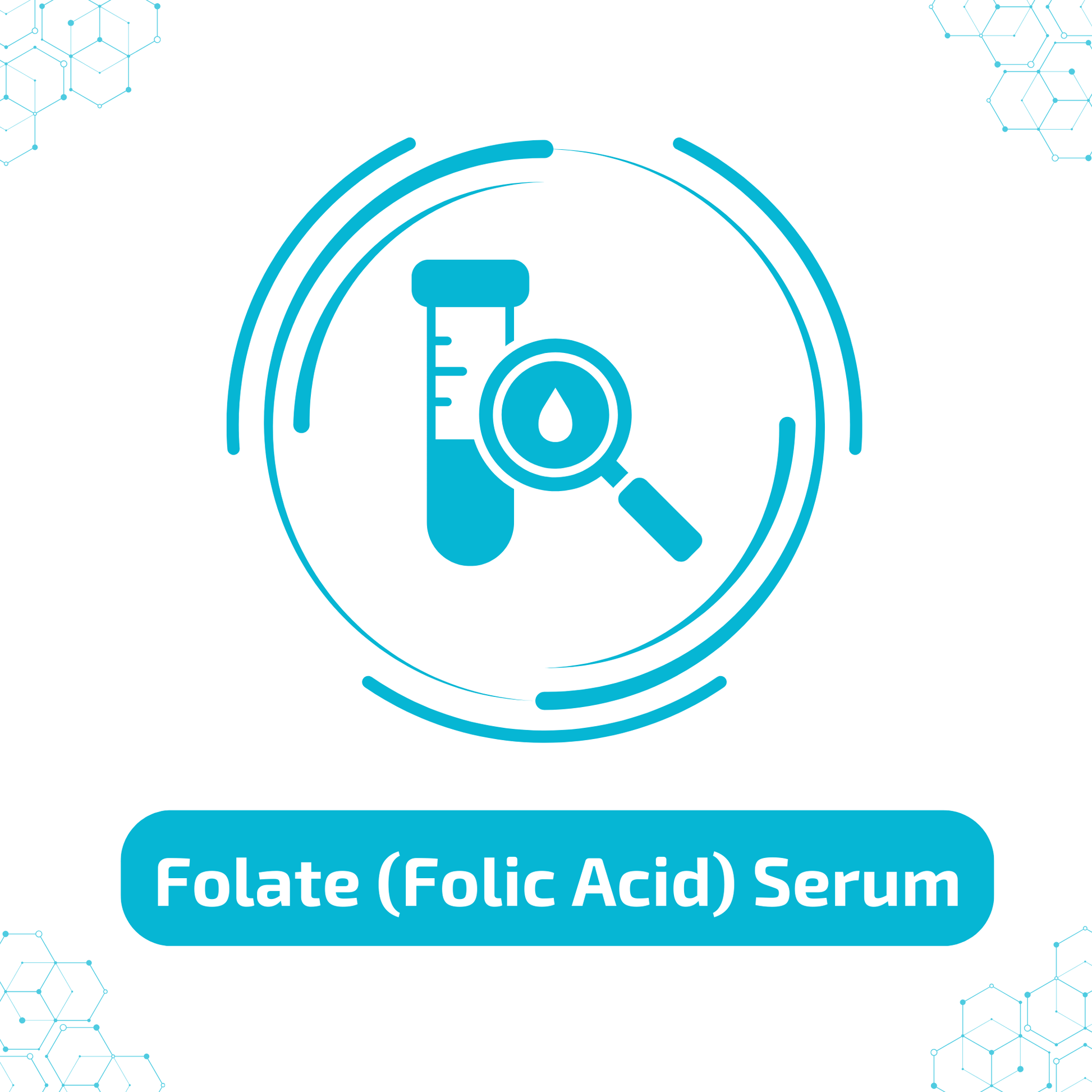 Folate (Folic Acid), Serum