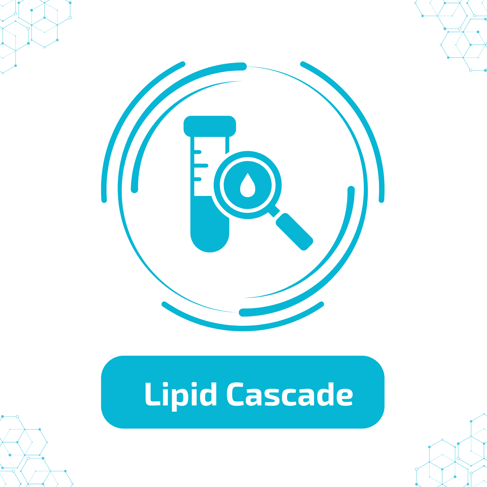 Lipid Cascade