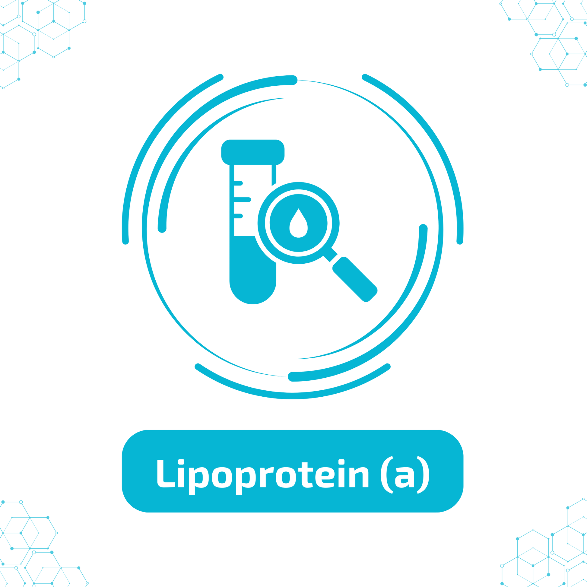 Lipoprotein (a)