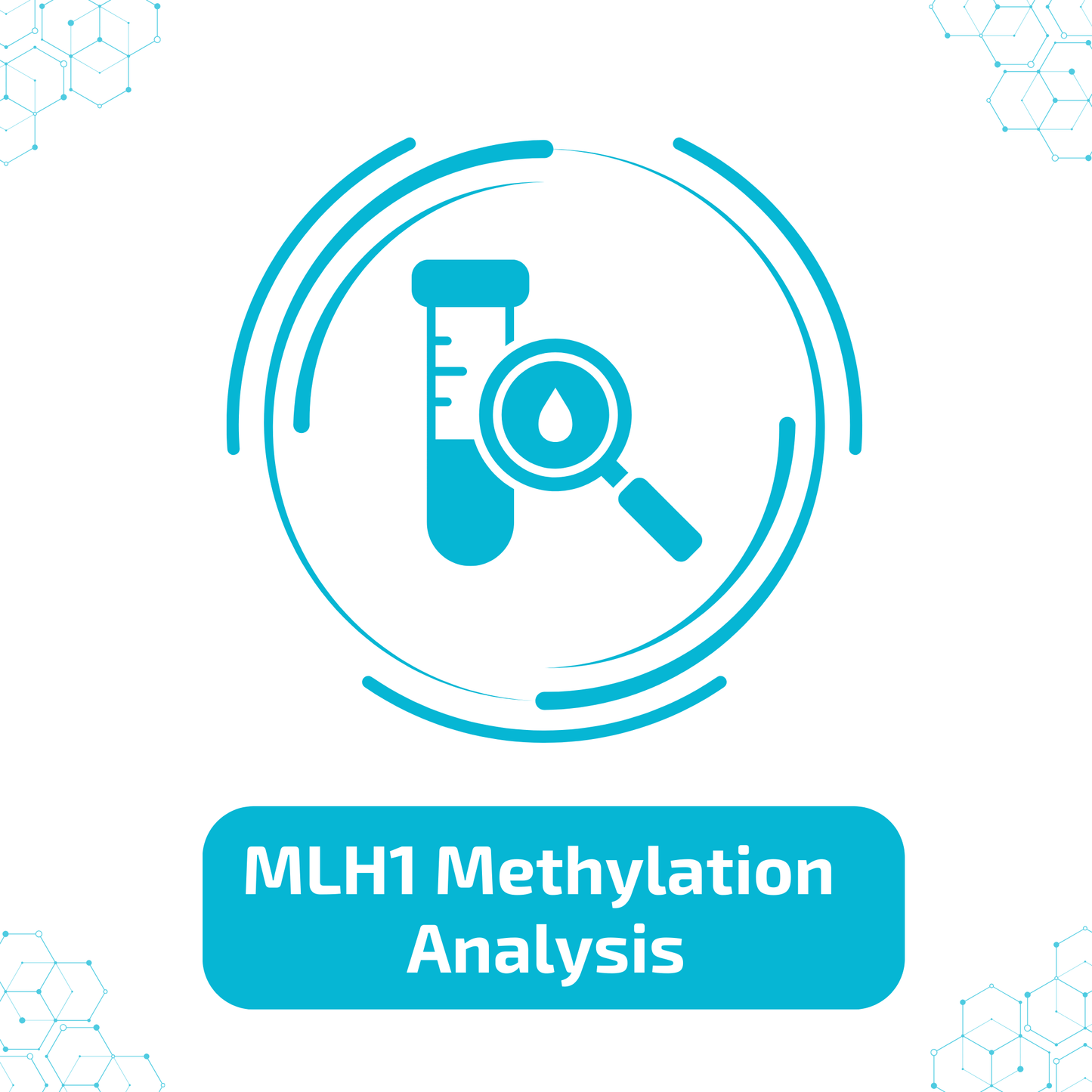 MLH1 Methylation Analysis