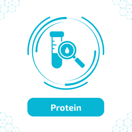 Protein