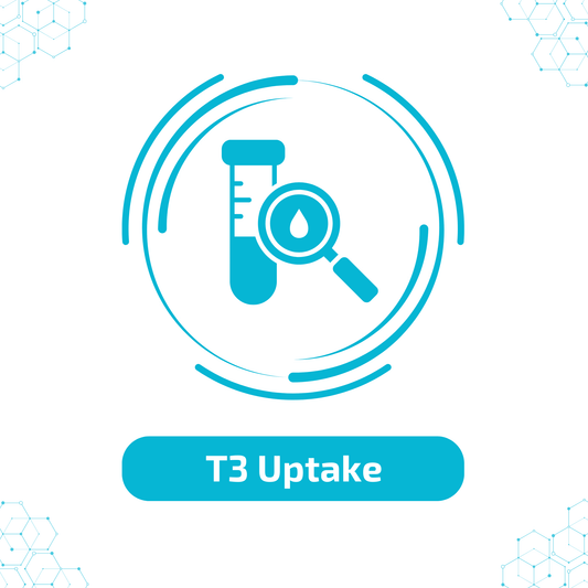 T3- Uptake