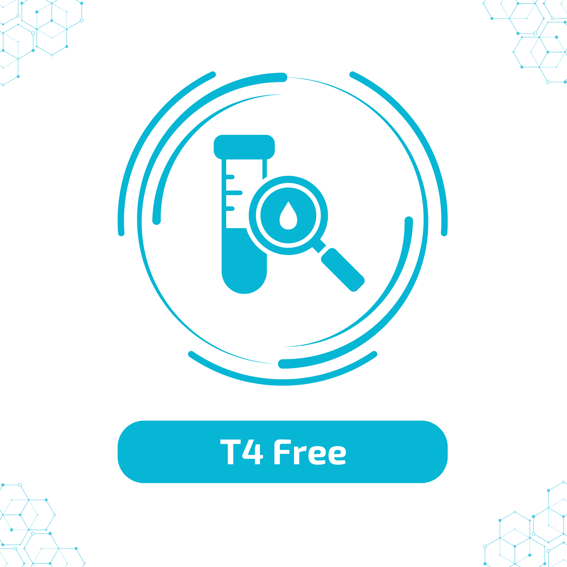 t4-free