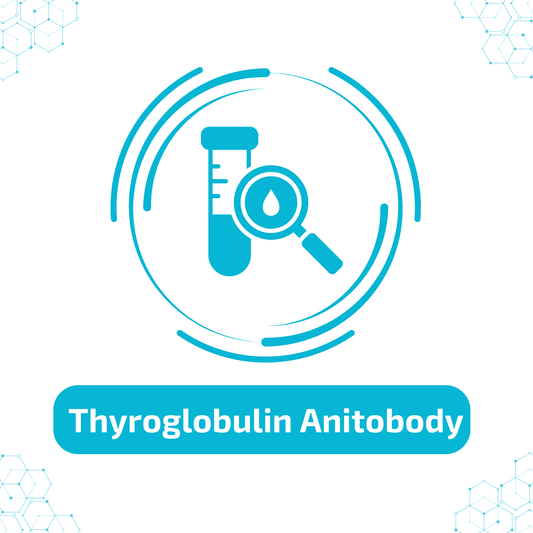 Thyroglobulin Antibody (TgAb)