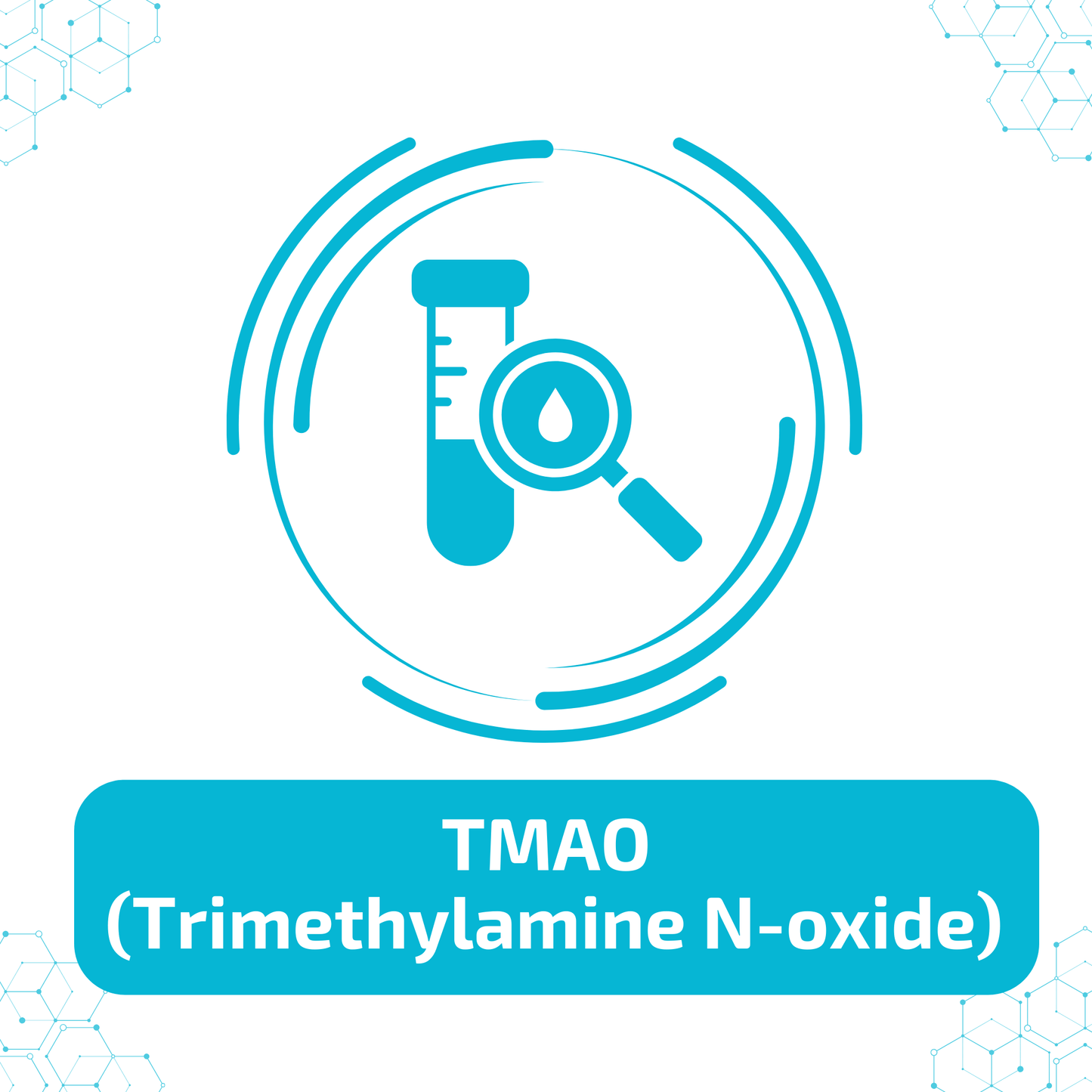 TMAO (Trimethylamine N-oxide)