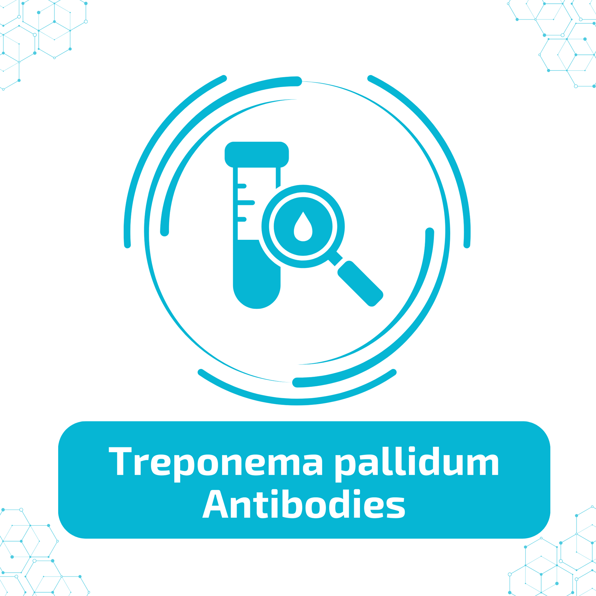 Treponema pallidum Antibodies