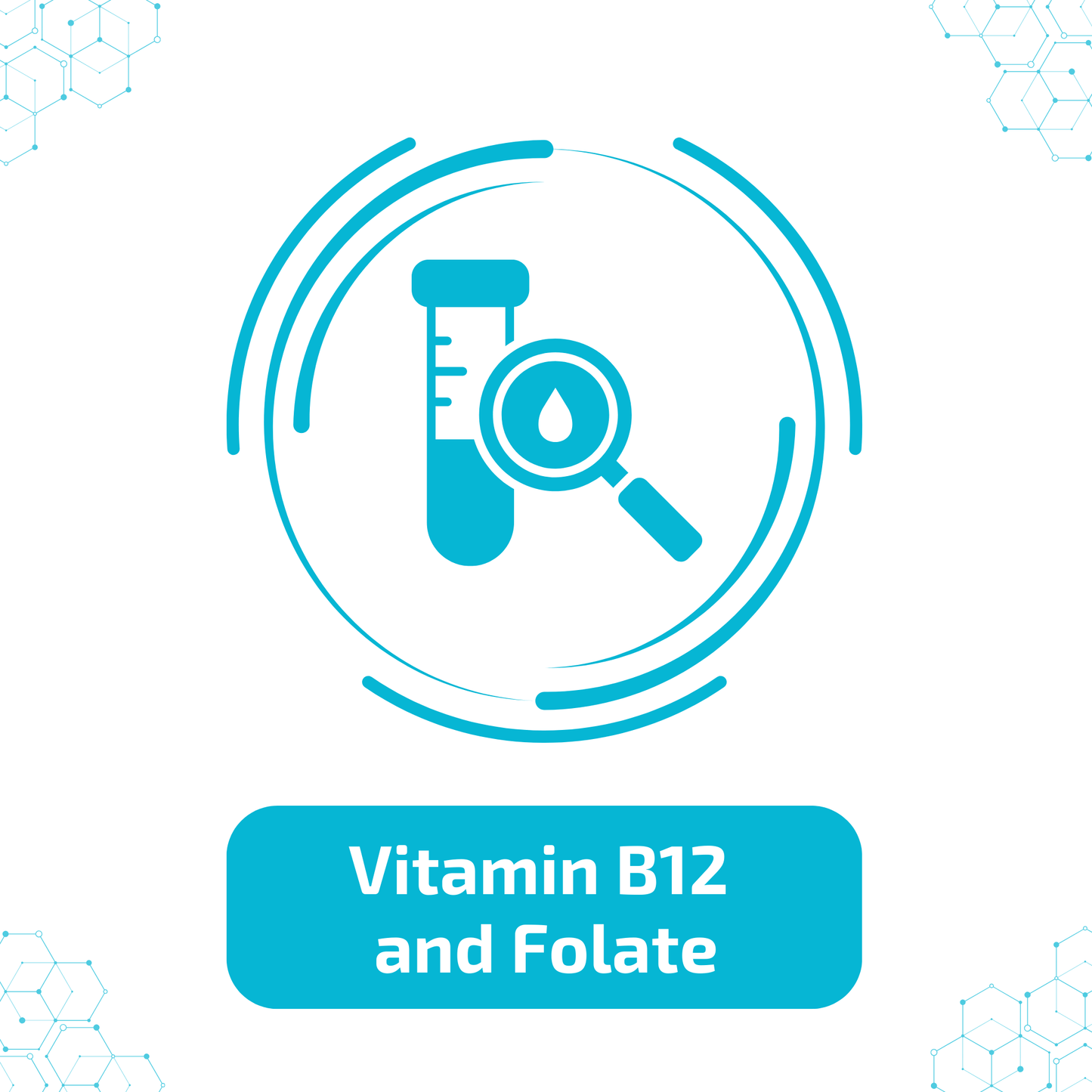 Vitamin B12 and Folate