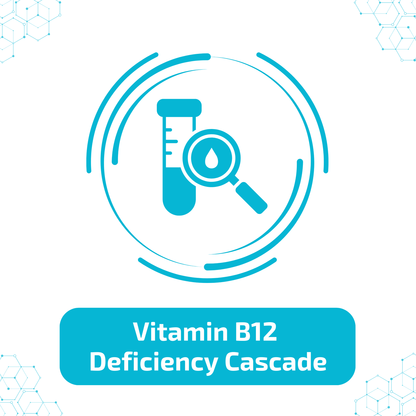 Vitamin B12 Deficiency Cascade